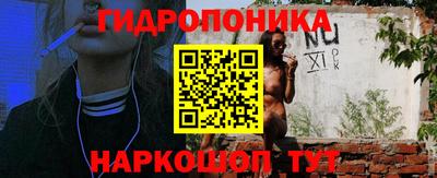 a pvp Бийск