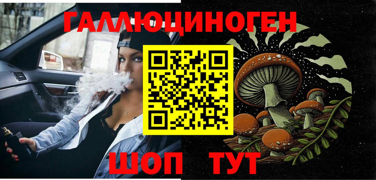 Псилоцибиновые грибы Psilocybe  Вход с VPN  Заволжье 