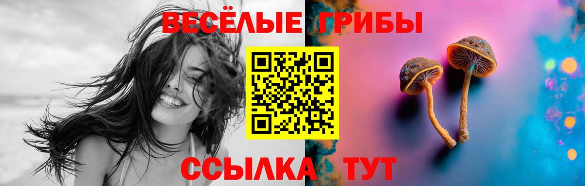 Галлюциногенные грибы Psilocybe Заволжье